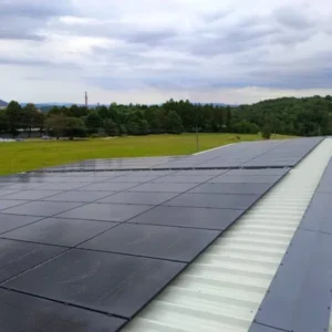 Photo 2024 08 17 10 35 53 2 600x600 1